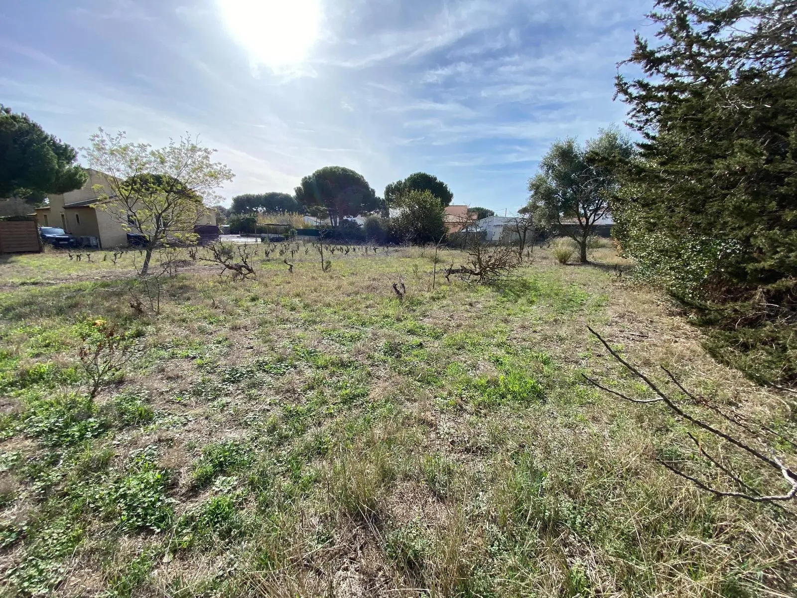 Photo 4 Terrain 800m²