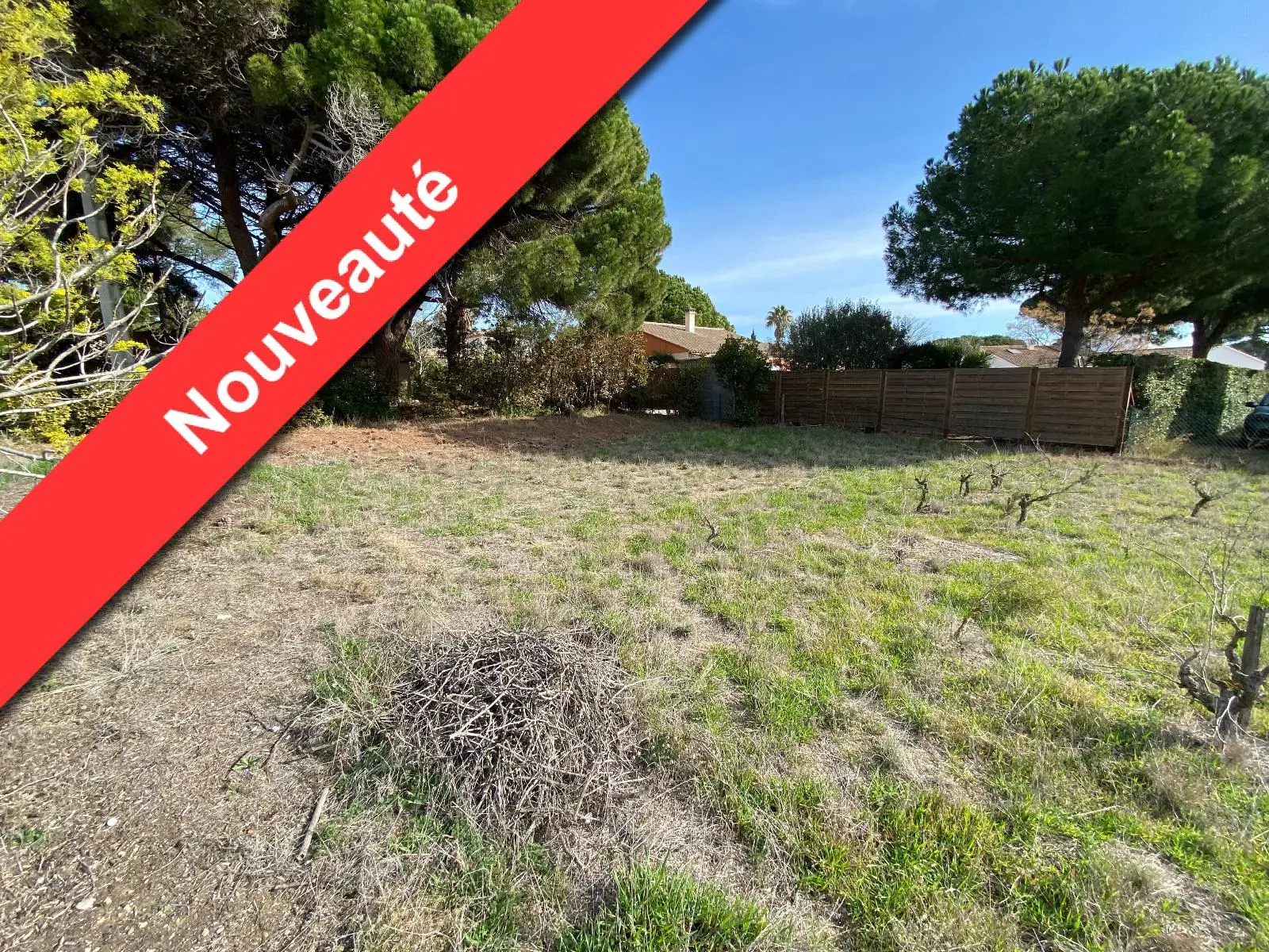 Photo 2 Terrain 800m²