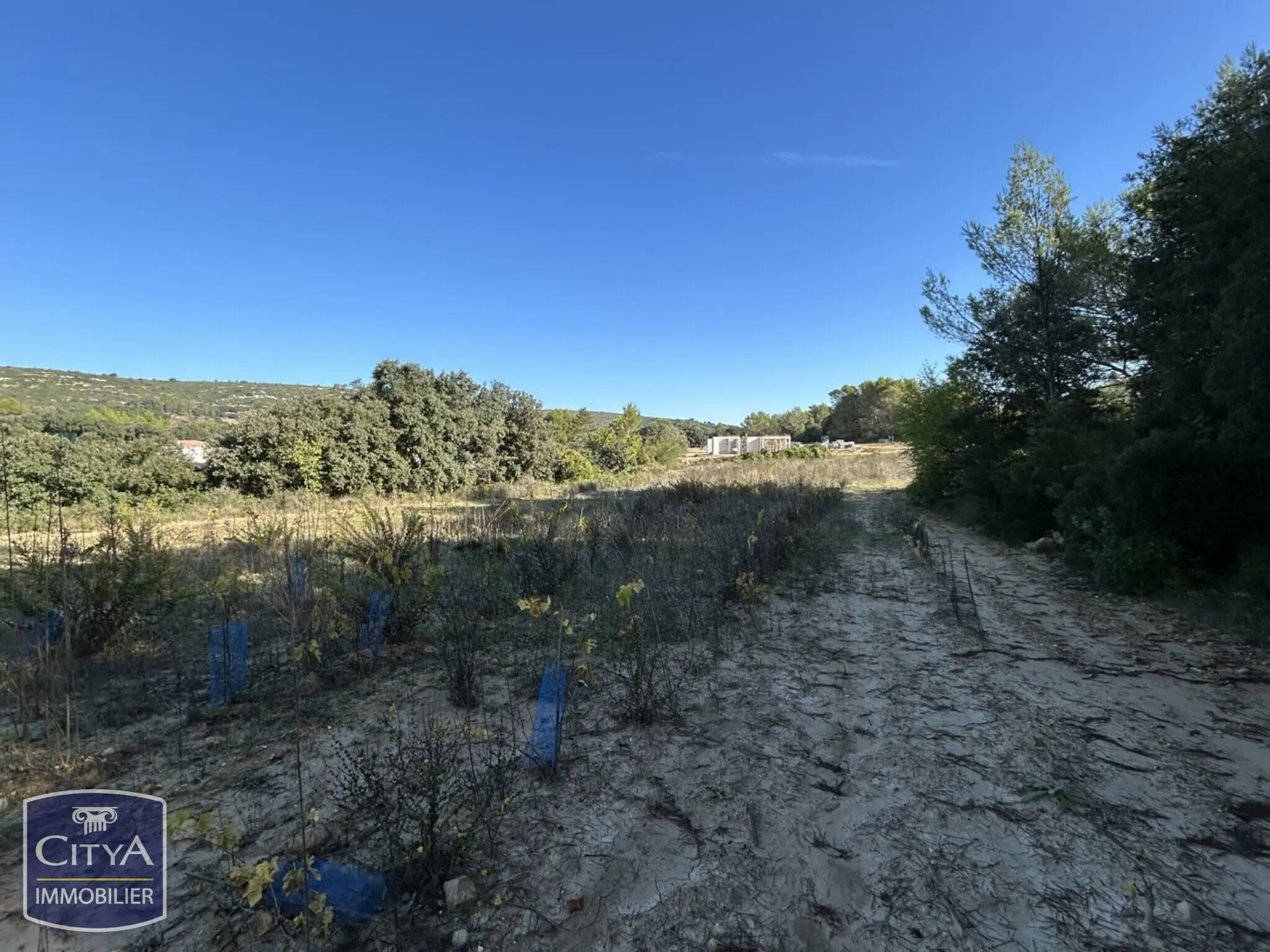 Photo 2 Terrain