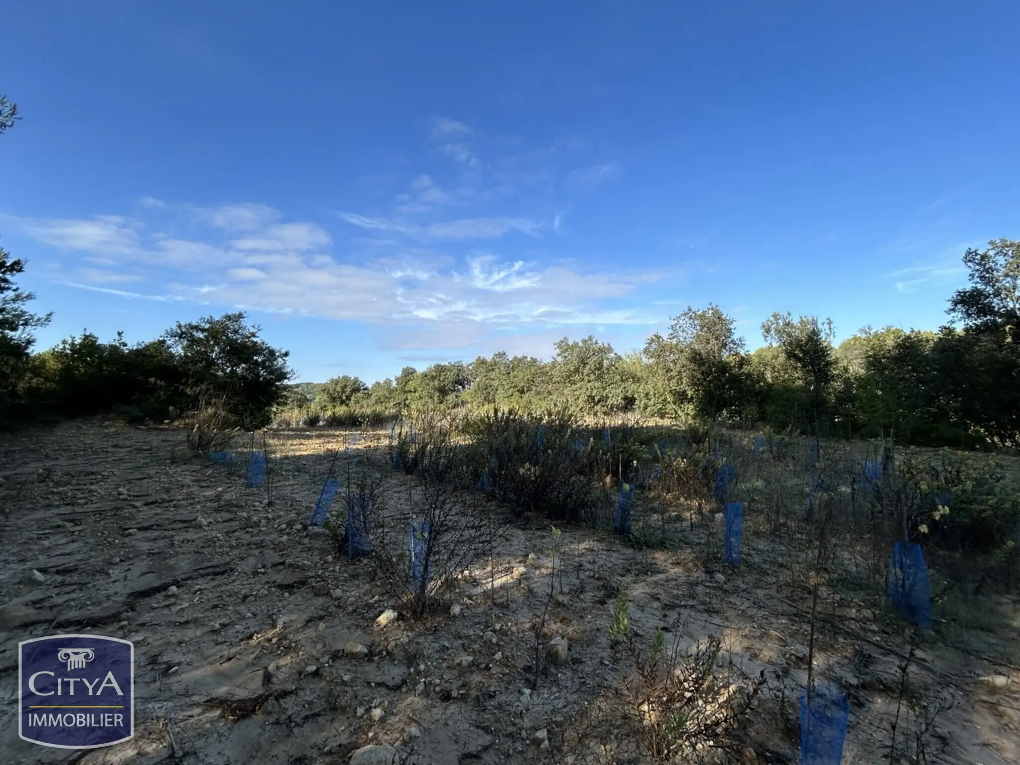 Photo 3 Terrain