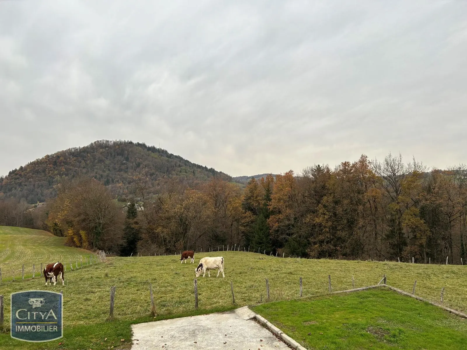 Photo 5 Maison 6 pièces 193m²