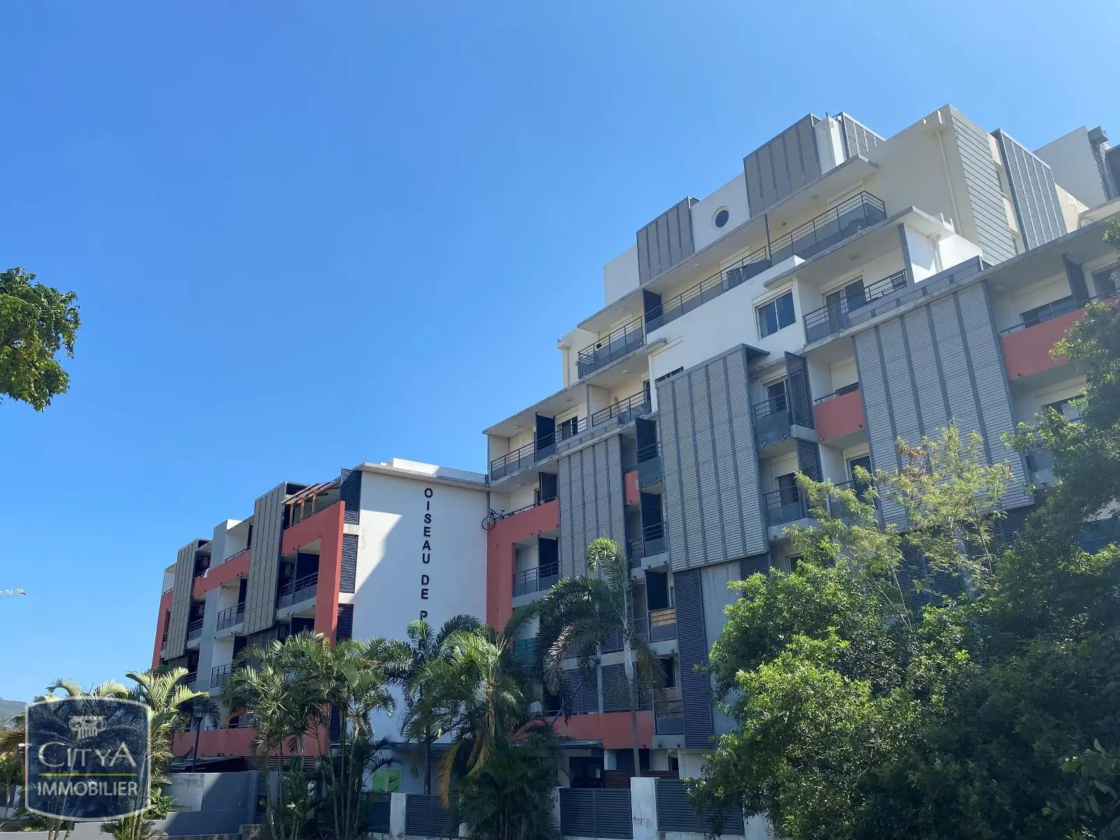 Photo 1 Appartement 1 pièce 25.4m²