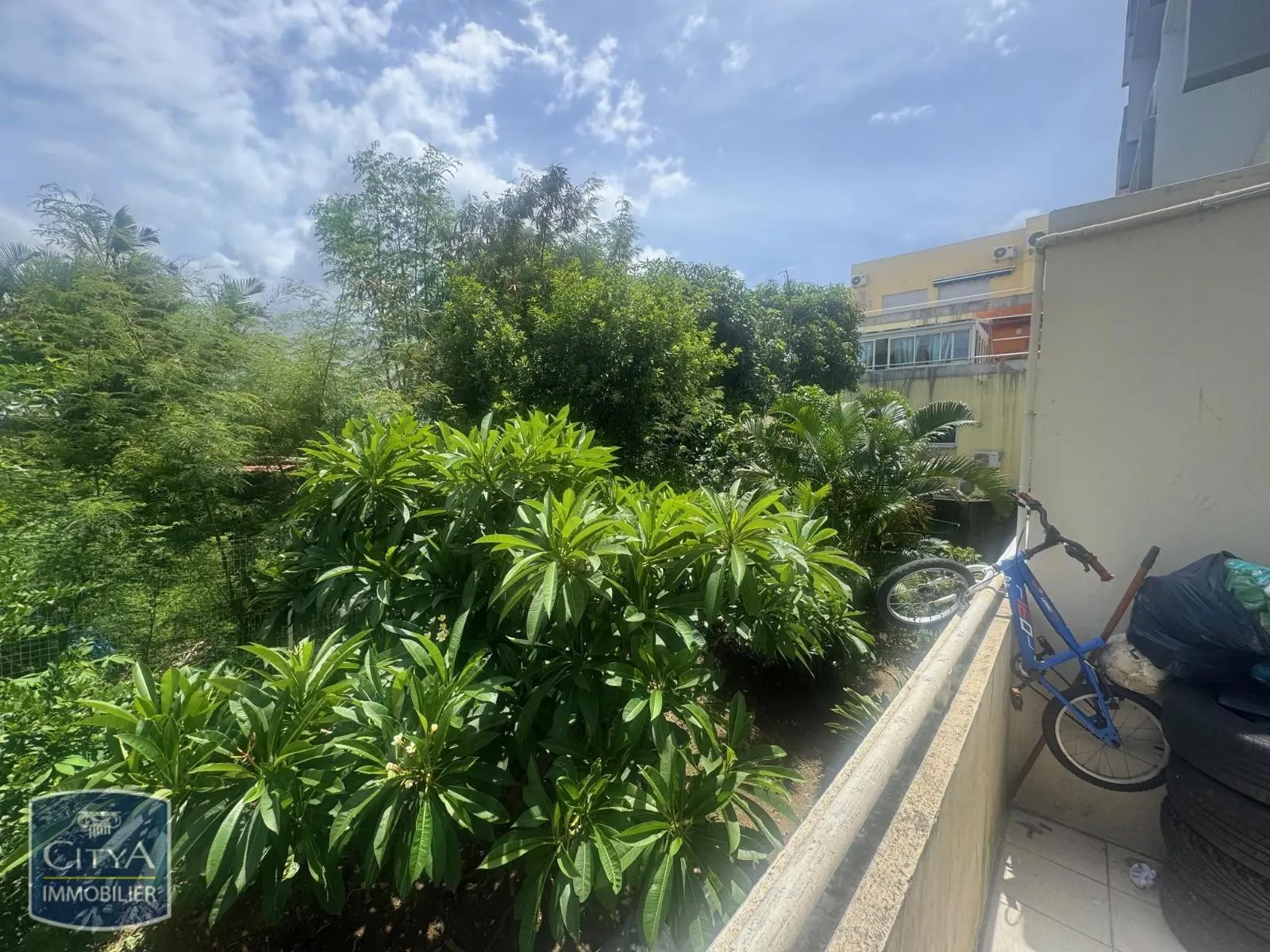 Photo 1 Appartement 1 pièce 19.25m²