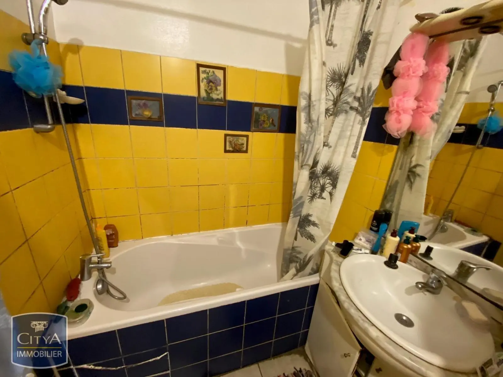 Photo 3 appartement Saint-Denis