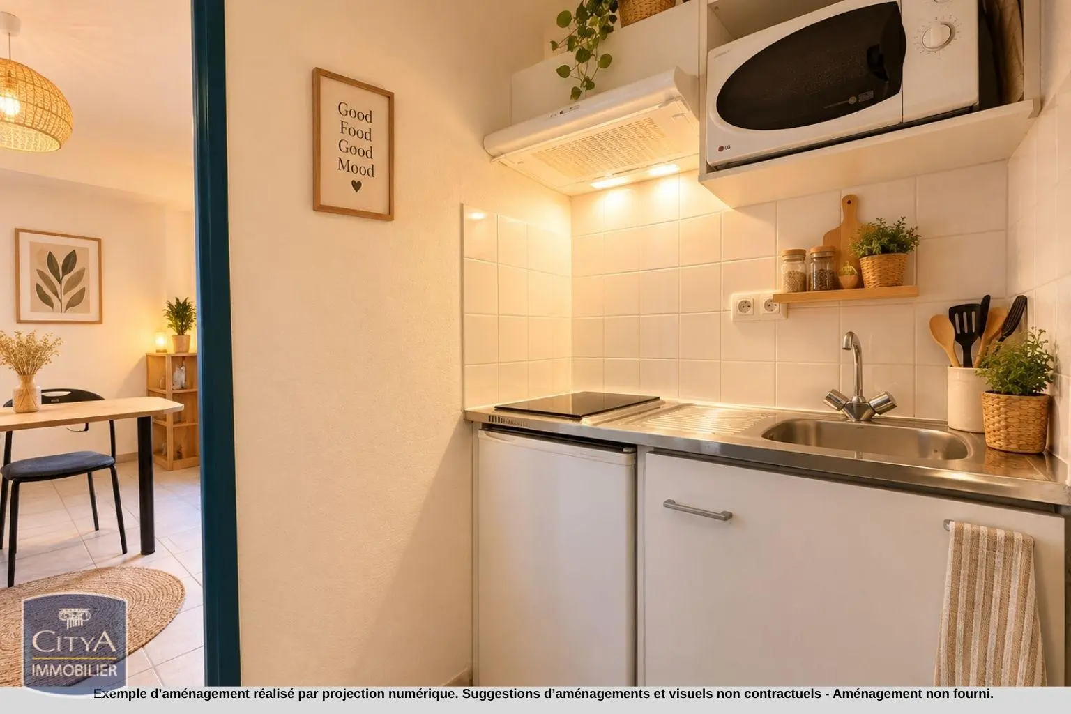 Photo 4 Appartement 1 pièce 20.8m²