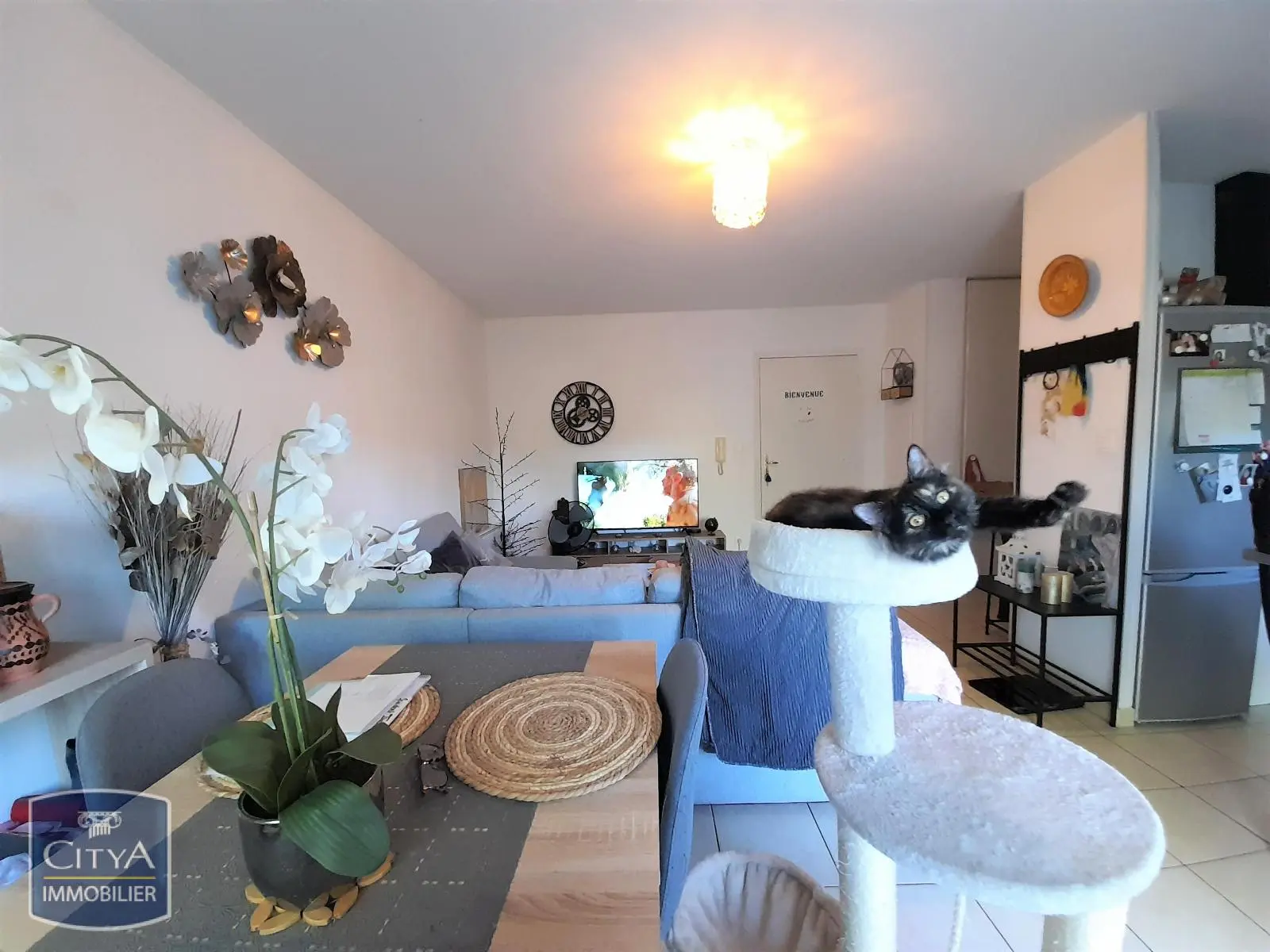 Photo 2 Appartement 2 pièces 43.65m²