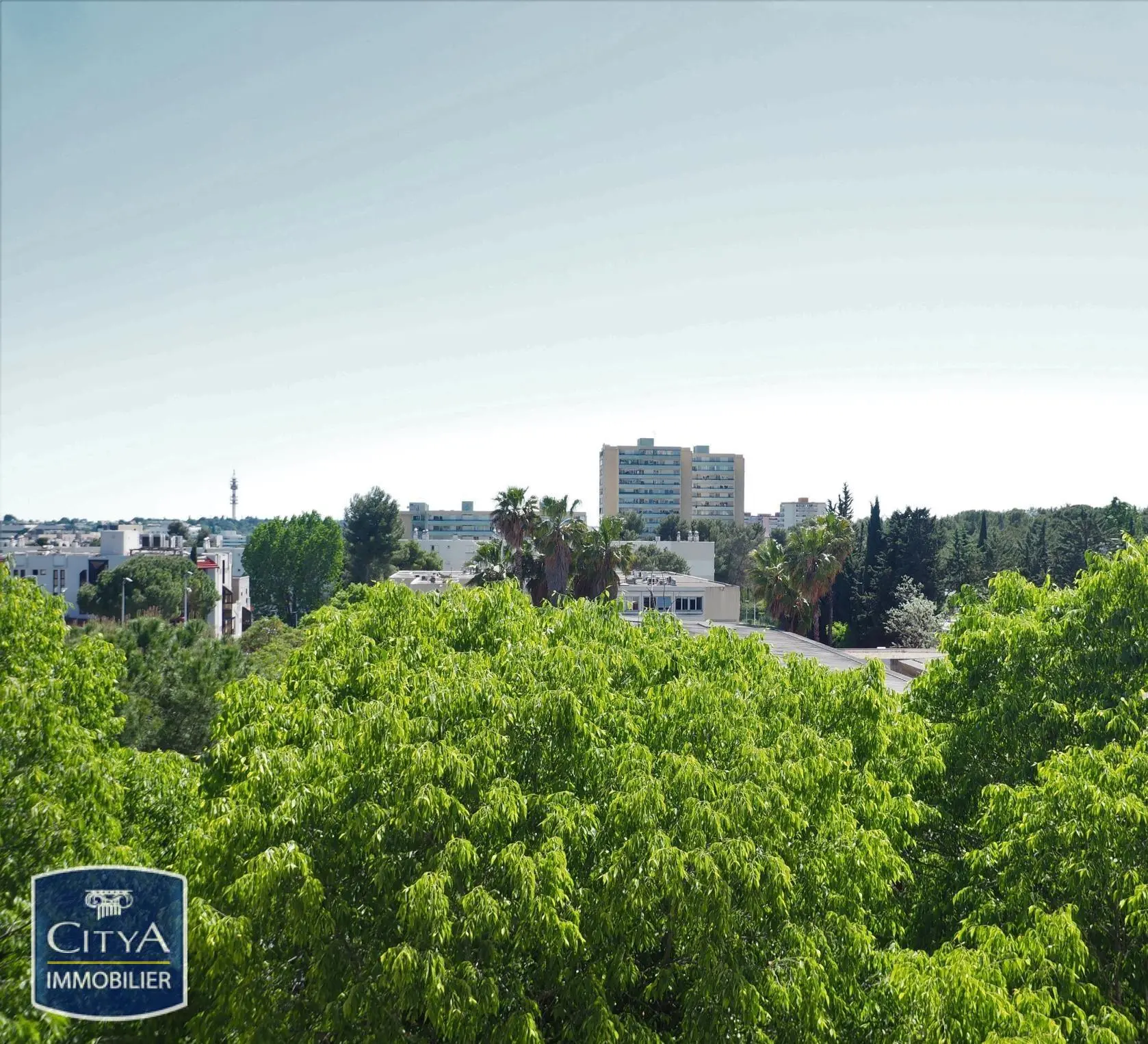 Photo 3 Appartement 4 pièces 81m²