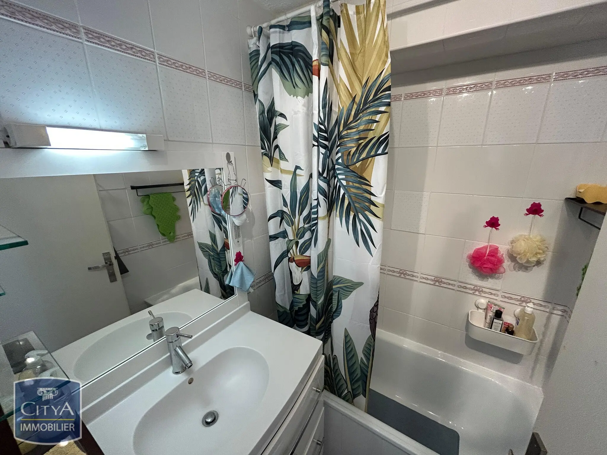 Photo 4 Appartement 1 pièce 23.48m²