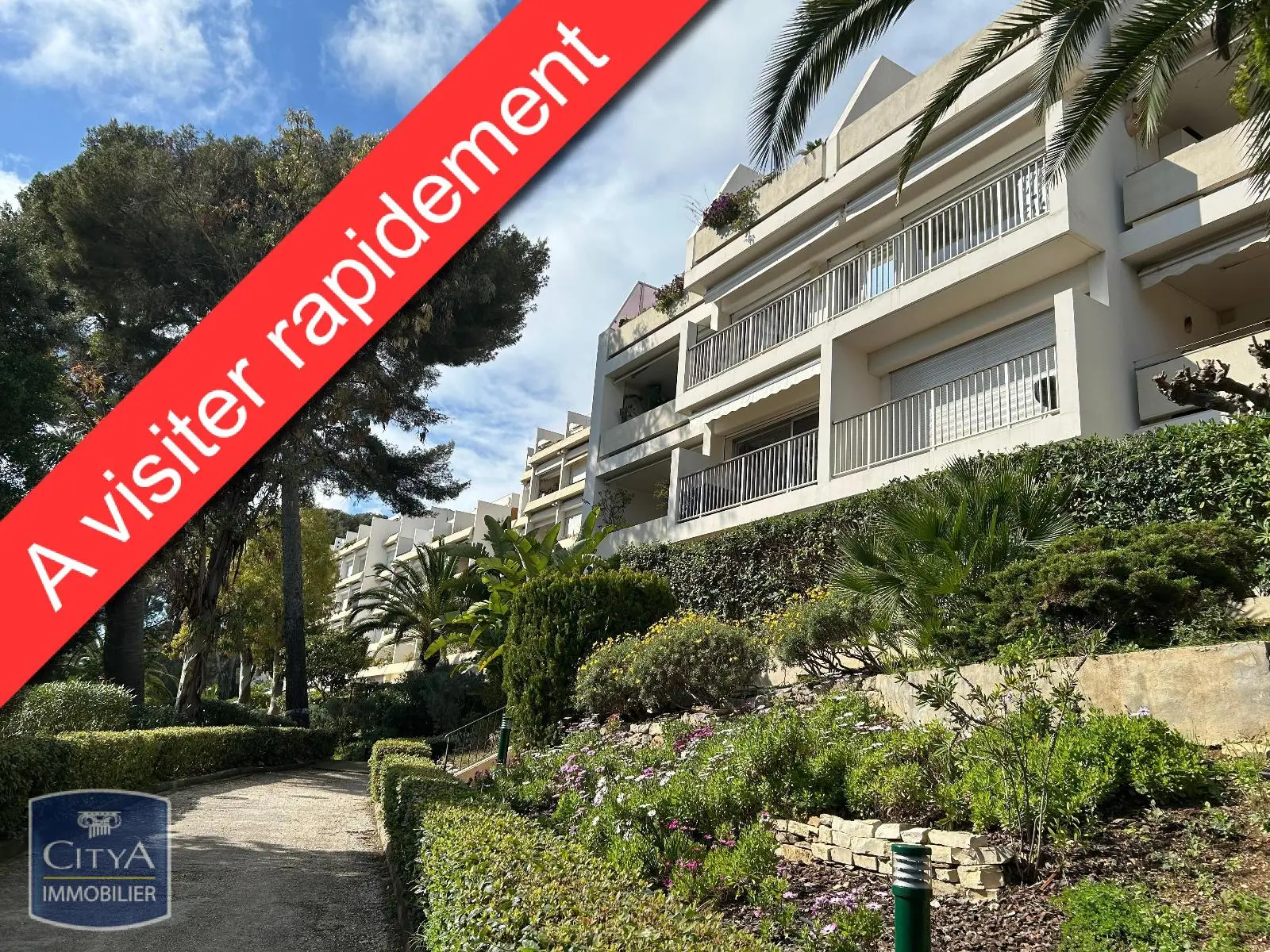 Photo 1 Appartement 1 pièce 24.16m²