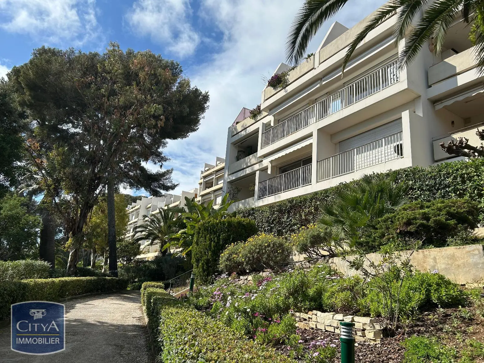 Photo 1 Appartement 1 pièce 24.16m²