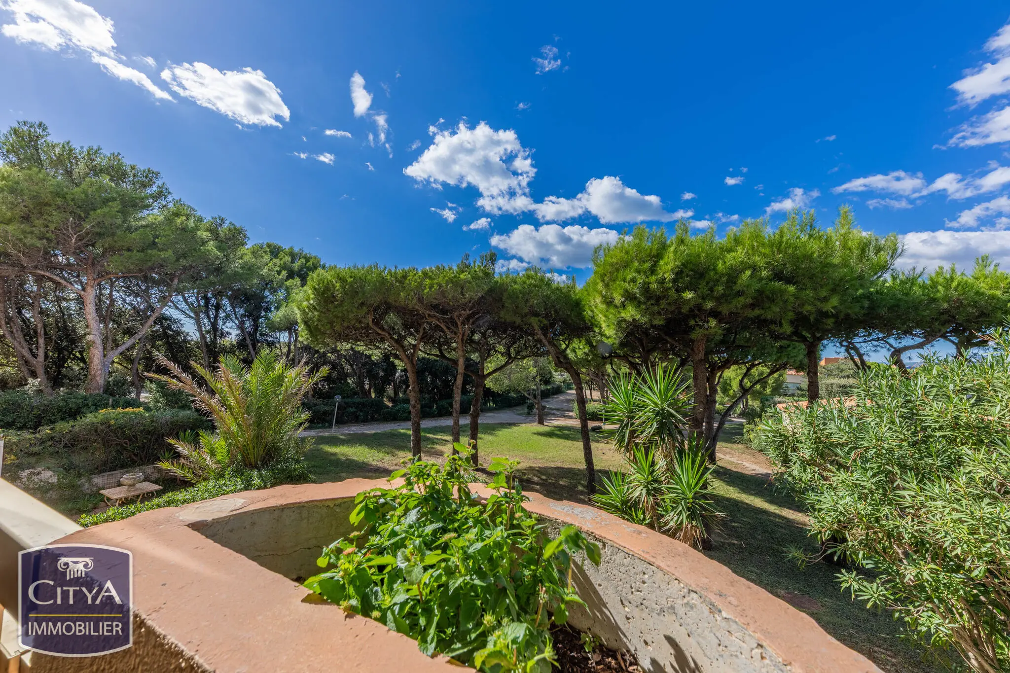 Photo 4 appartement Six-Fours-les-Plages