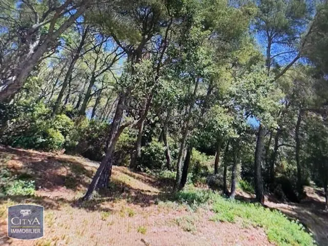 Photo 1 Terrain