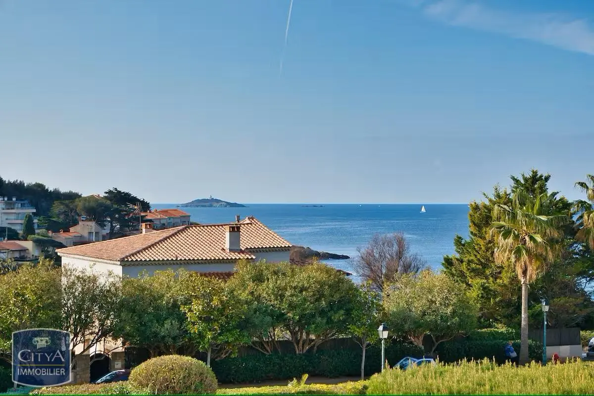 Photo 16 Appartement 1 pièce 20m²