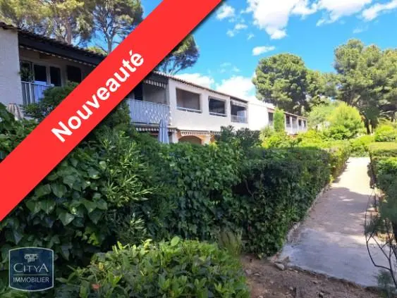 Photo 1 Appartement 1 pièce 20m²