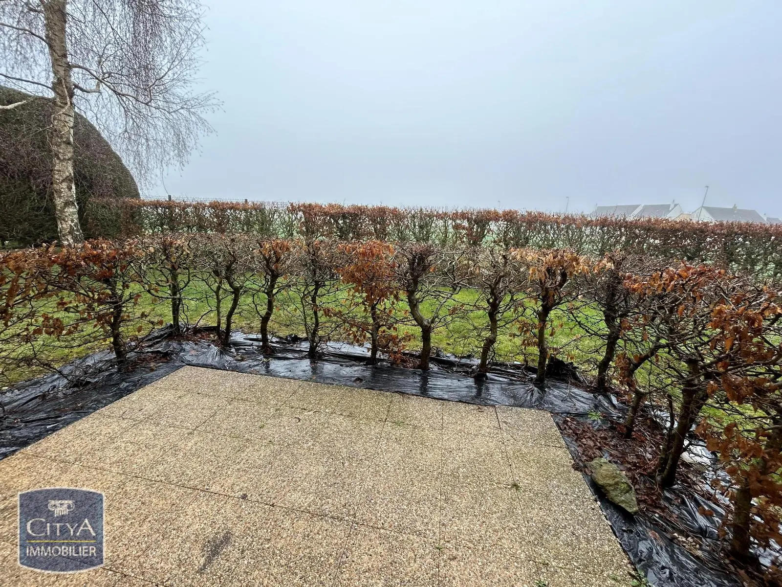 Photo 3 Appartement 2 pièces 46.5m²