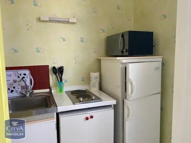 Photo 3 Appartement 1 pièce 29.19m²