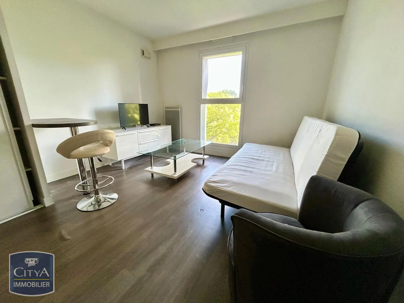 Photo 1 appartement Tours