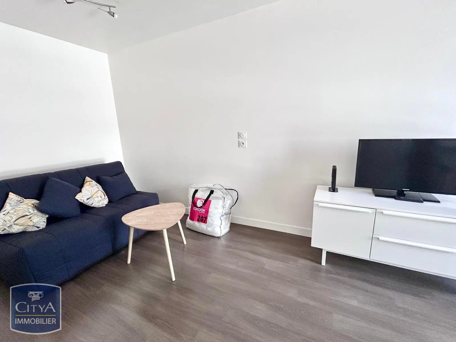 Photo 2 appartement Tours