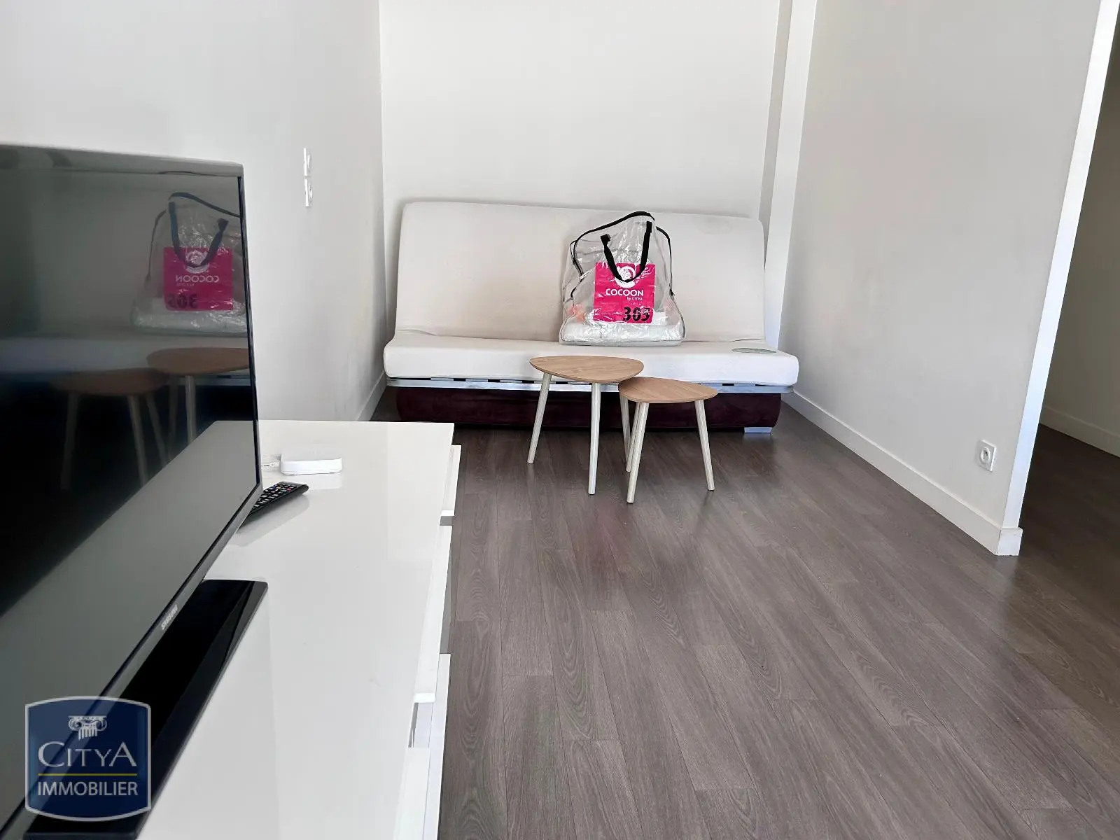 Photo 2 appartement Tours