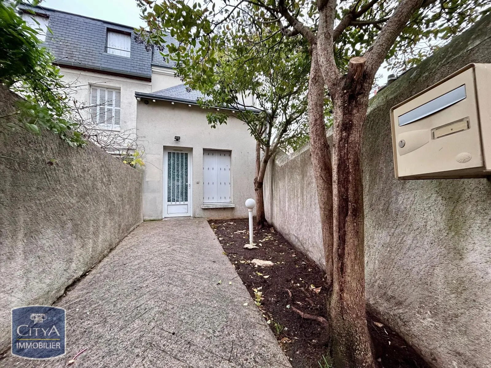 Photo 8 Local Professionnel