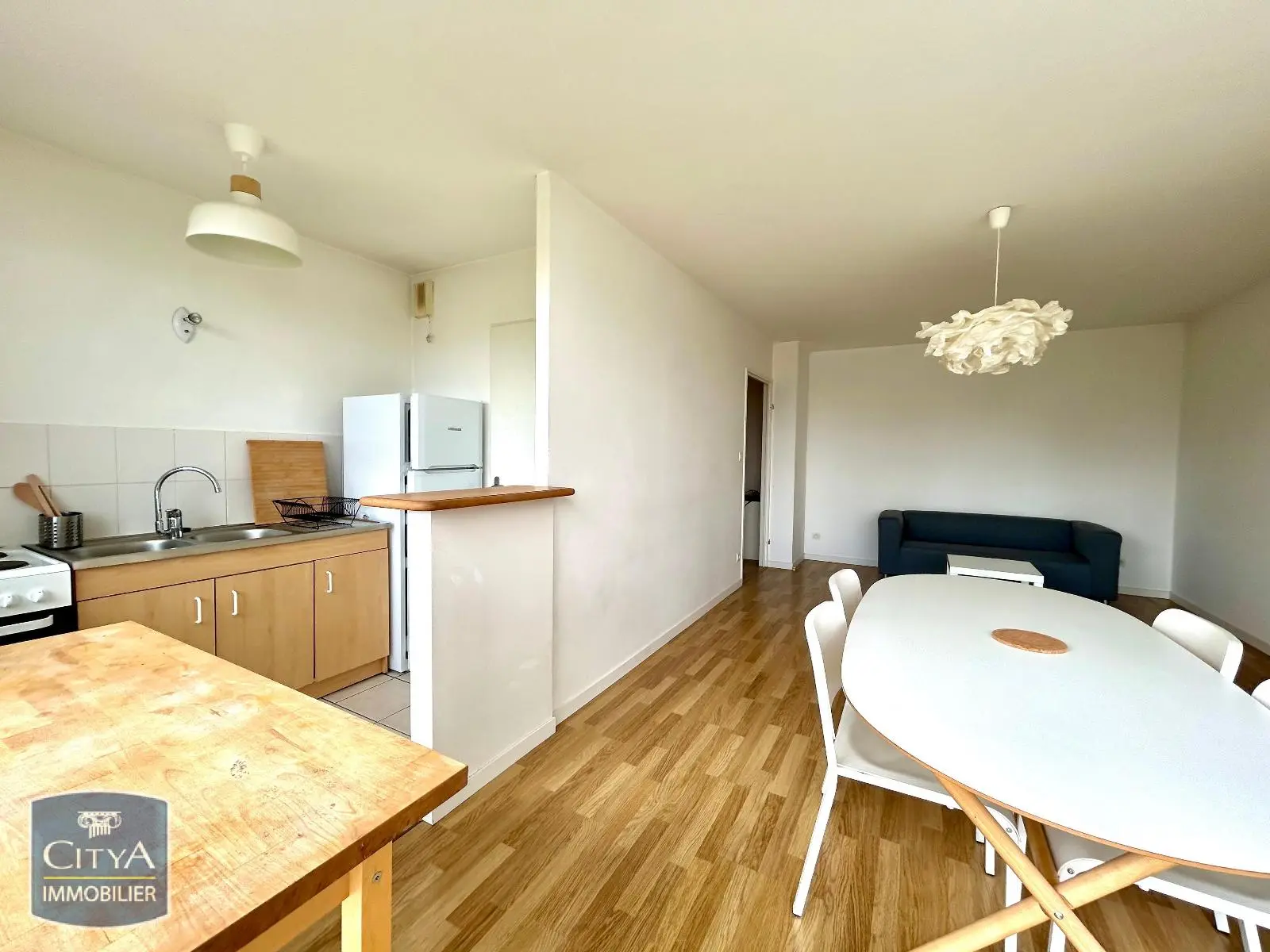 Photo 1 appartement Tours