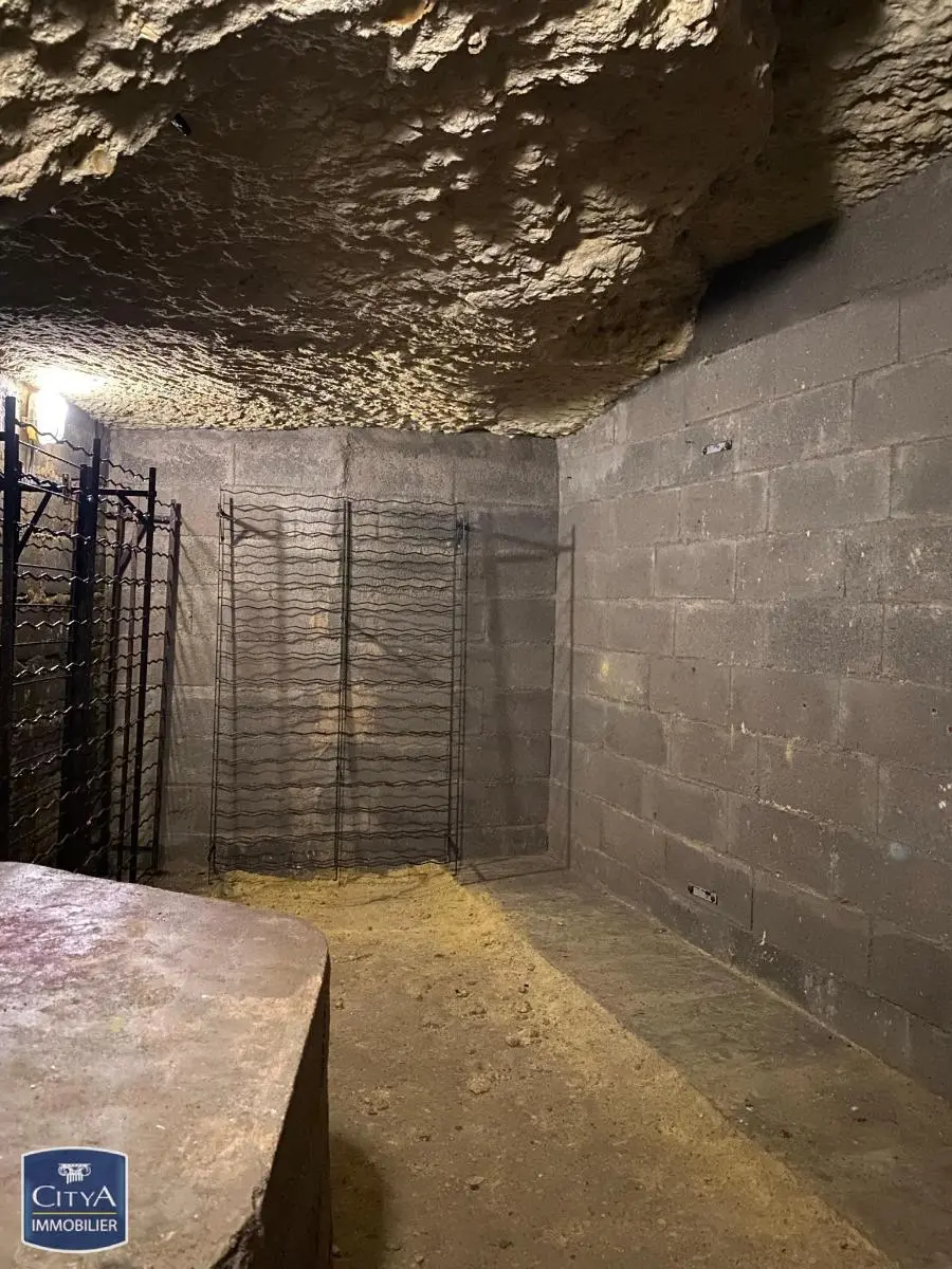 Photo 2 forêt Saint-Avertin