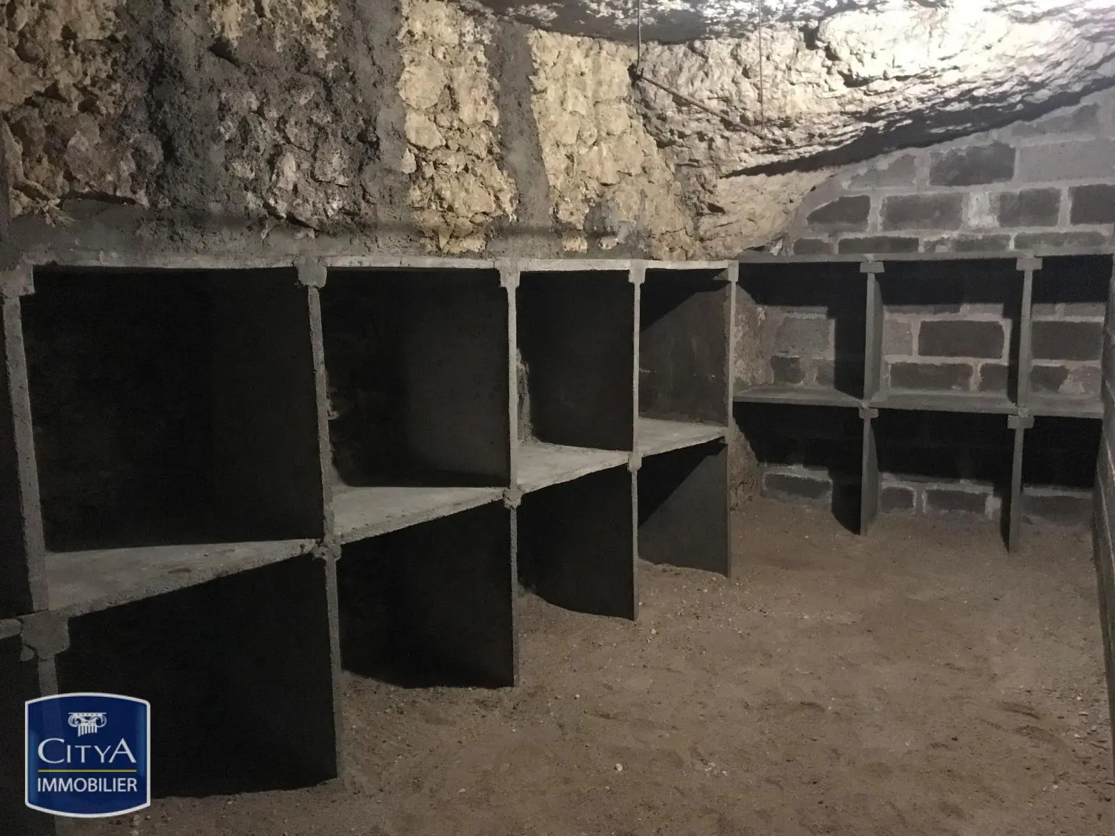 Photo 1 forêt Saint-Avertin