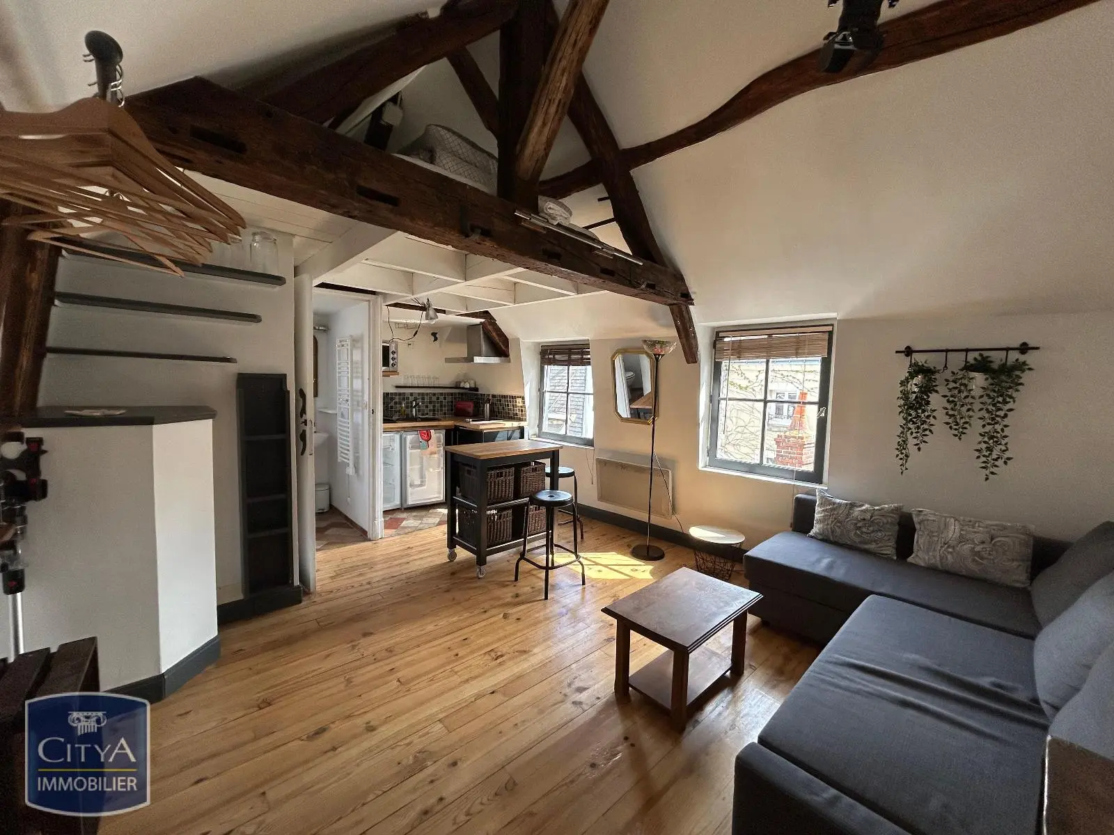 Photo 4 appartement Tours
