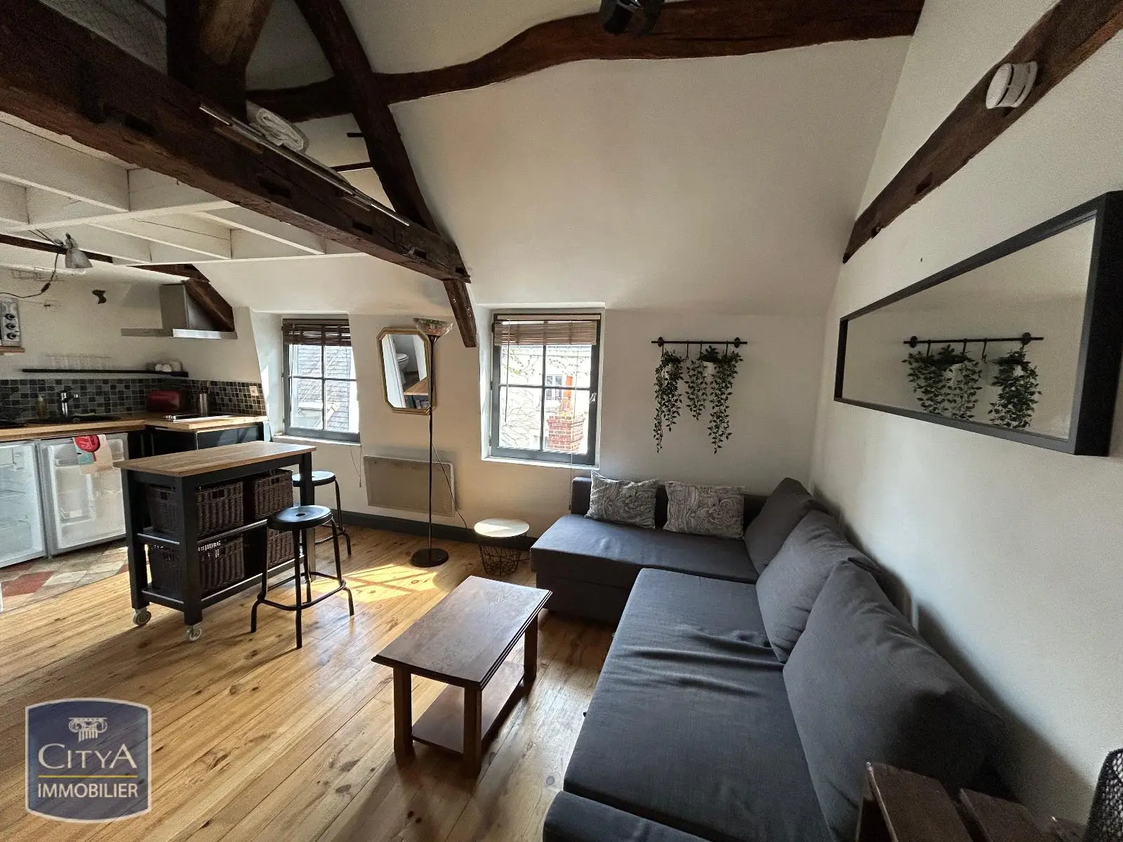 Photo 3 appartement Tours