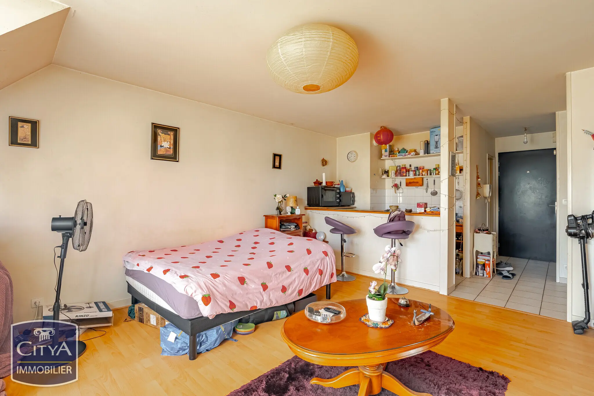 Photo 5 appartement Ballan-Miré