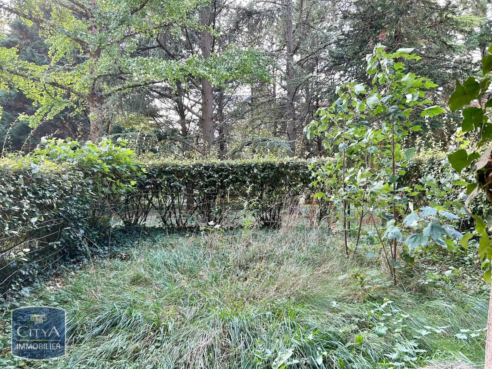 Photo 3 Appartement 1 pièce 32.02m²