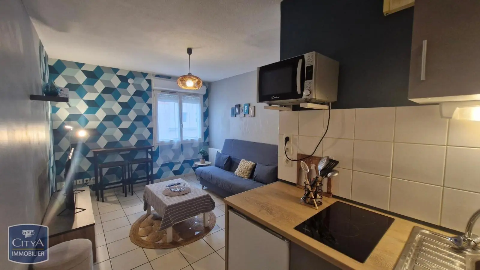 Photo 3 Appartement 1 pièce