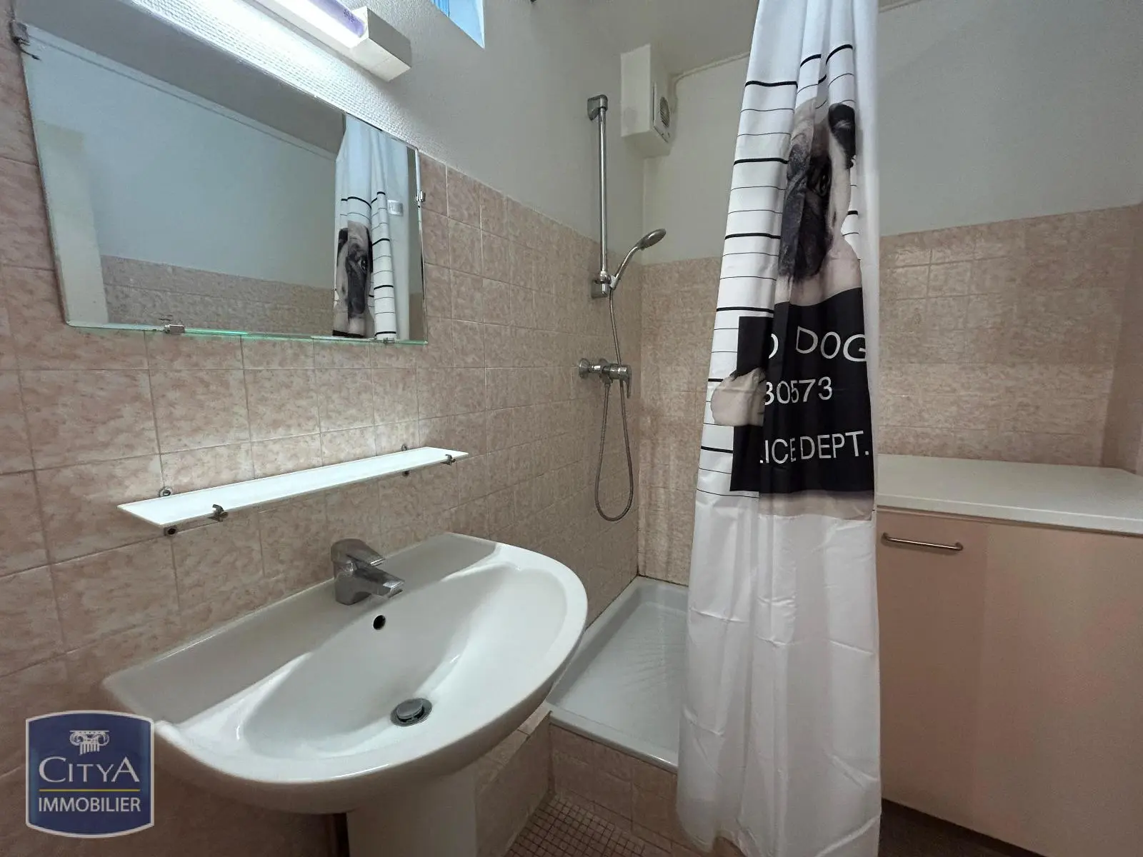 Photo 8 Appartement 1 pièce 33m²