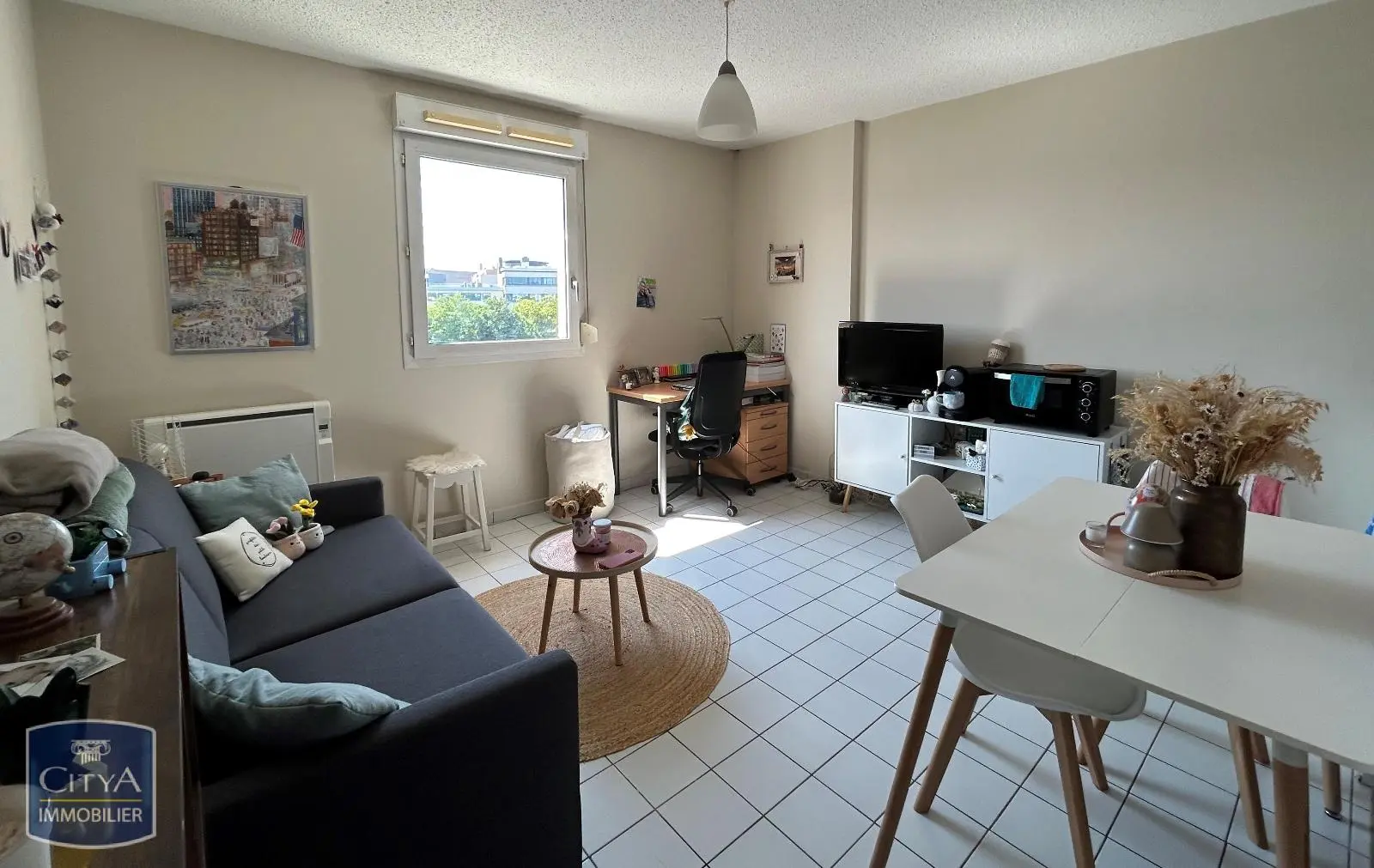 Photo 2 Appartement 1 pièce 20.6m²