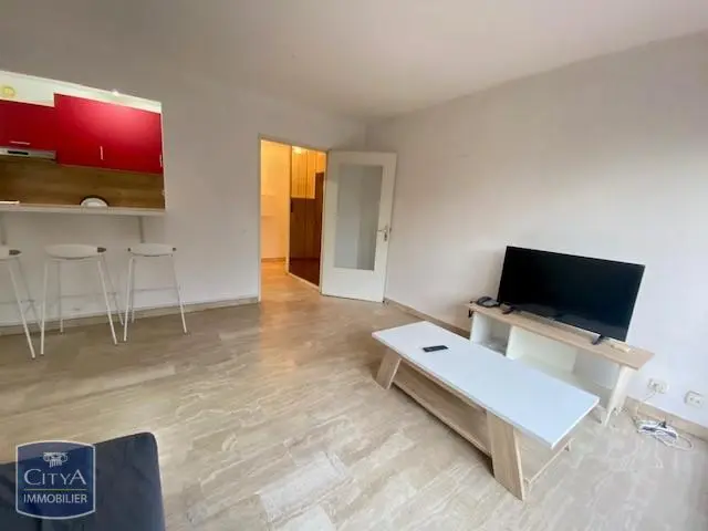 Photo 1 Appartement 1 pièce 29.48m²