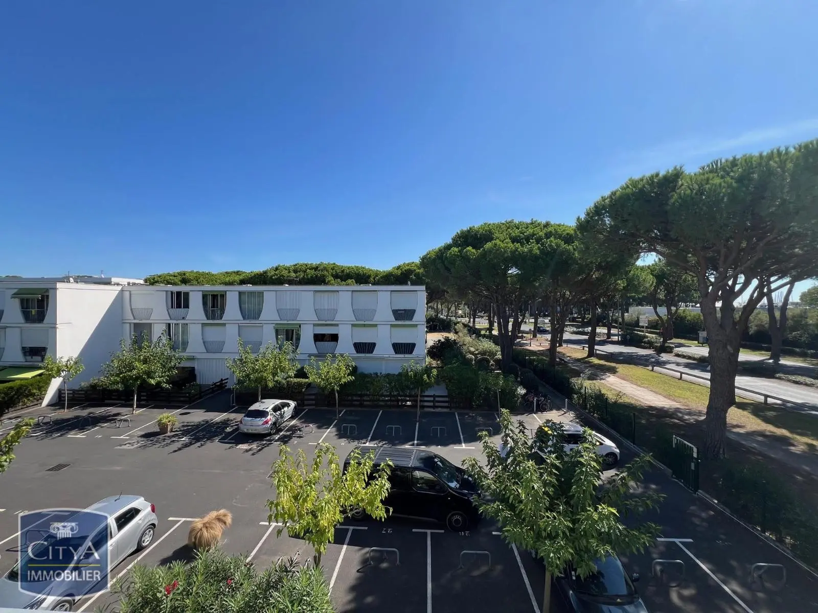 Photo 9 Appartement 1 pièce 21m²