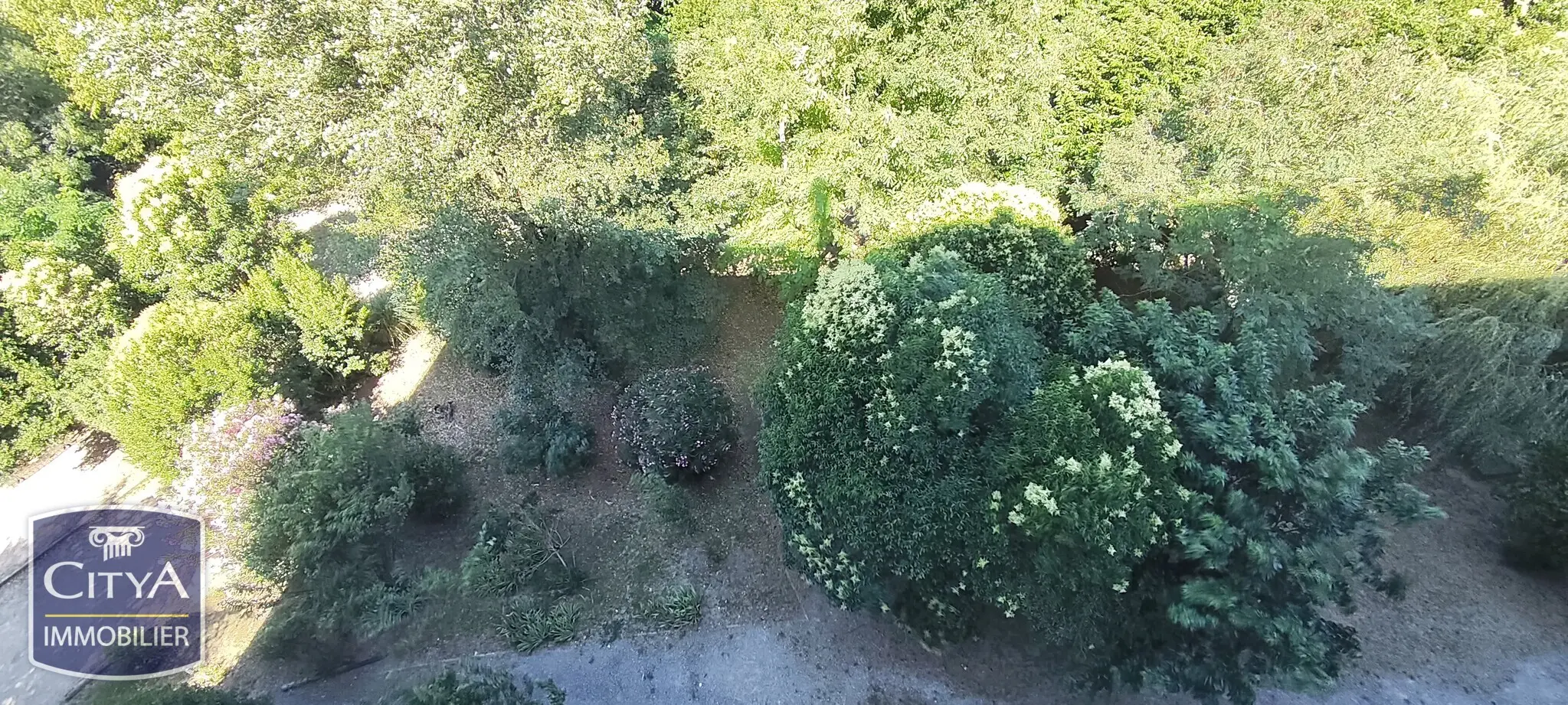 Photo 3 appartement Avignon
