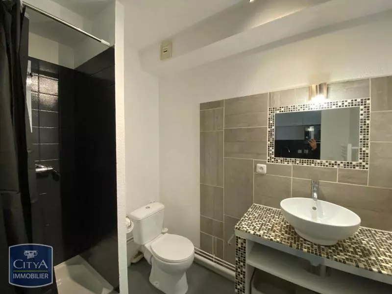 Photo 3 appartement Orléans