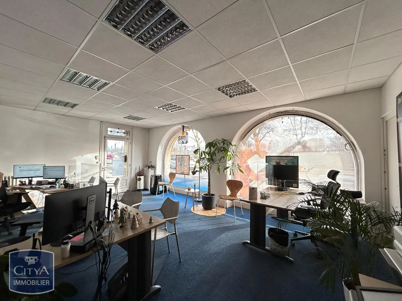 Photo 2 Local Professionnel 5 pièces