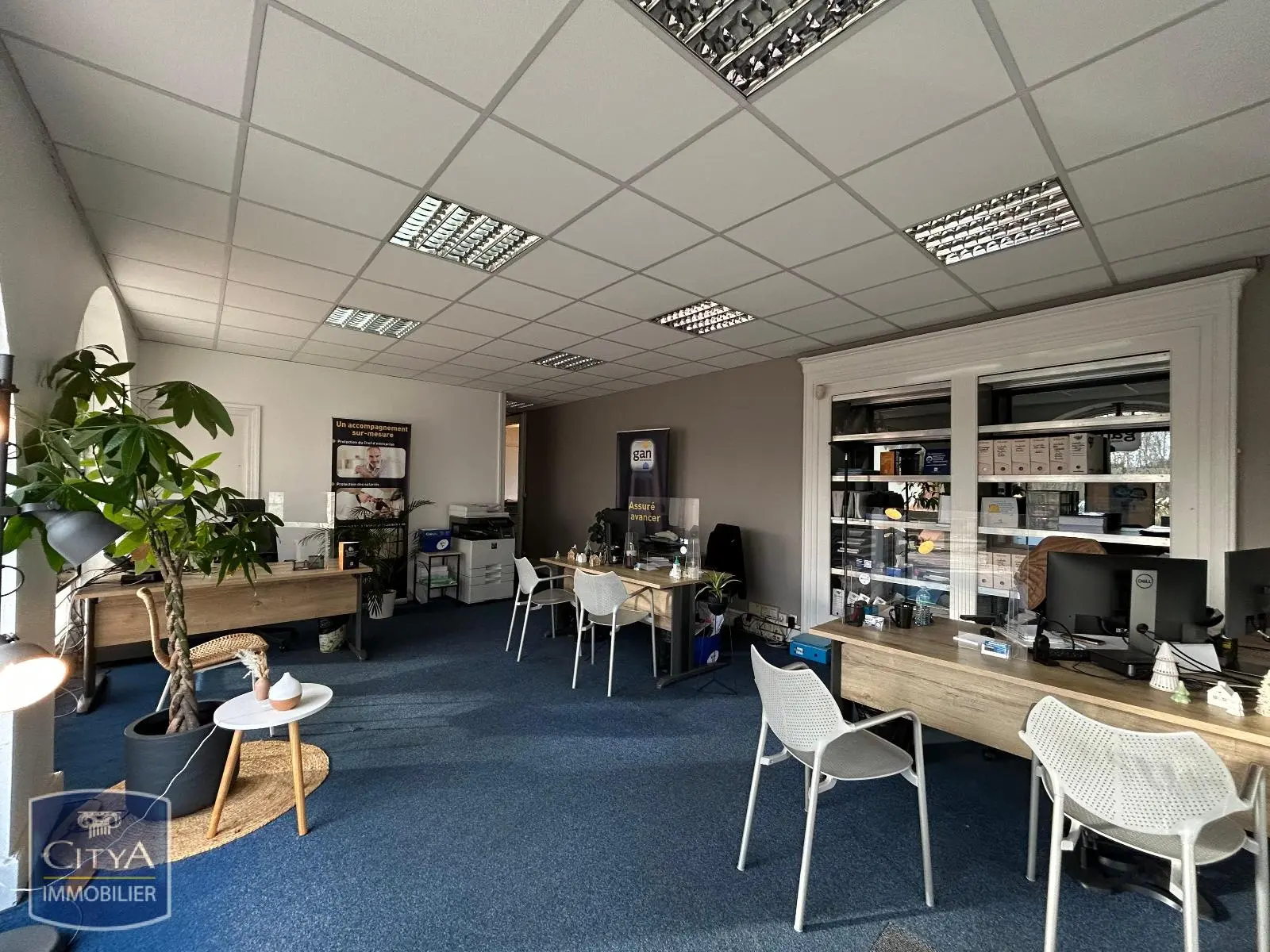 Photo 1 Local Professionnel 5 pièces