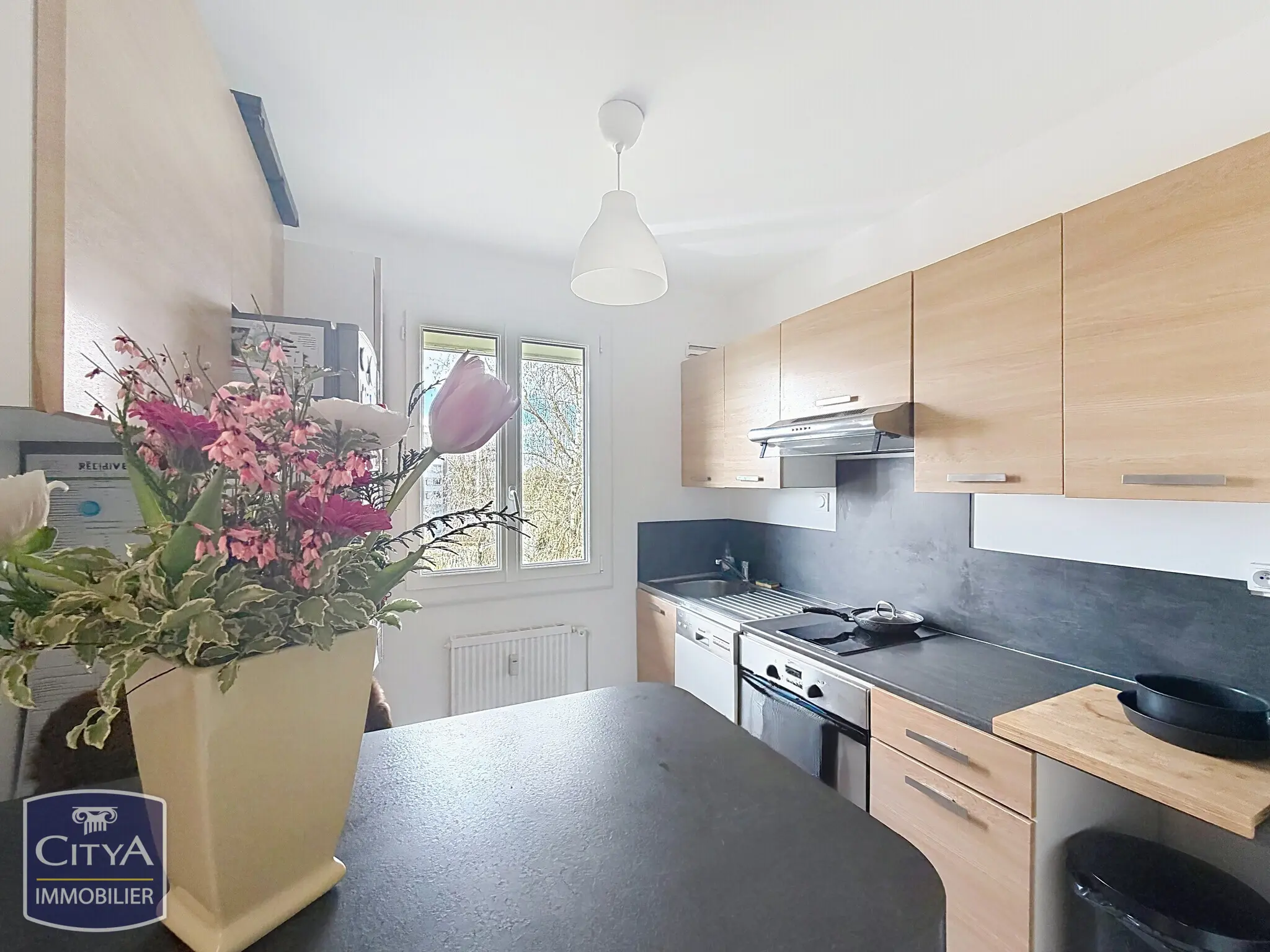 Photo 3 Appartement 1 pièce 37.4m²