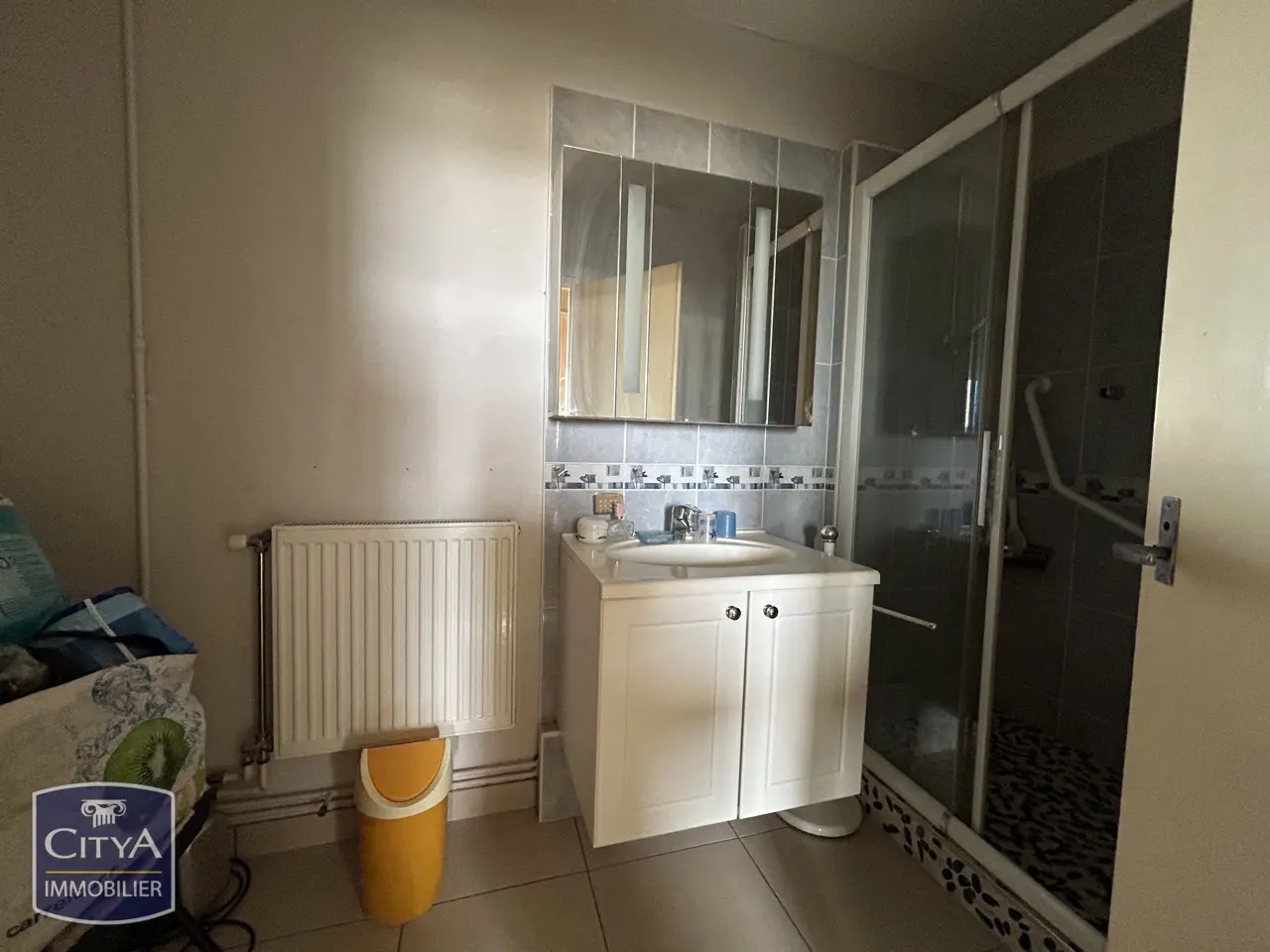 Photo 10 appartement Orléans