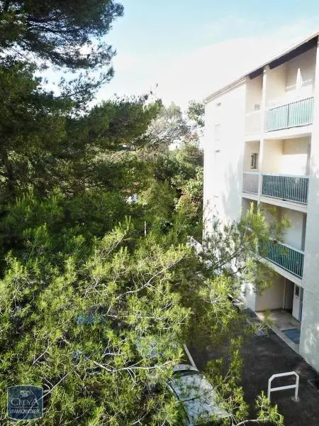 Photo 2 Appartement 1 pièce 18.8m²