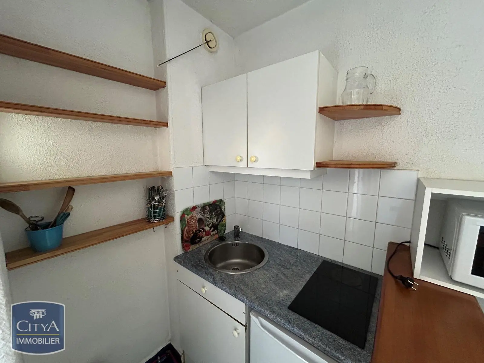Photo 2 Appartement 1 pièce 18.8m²