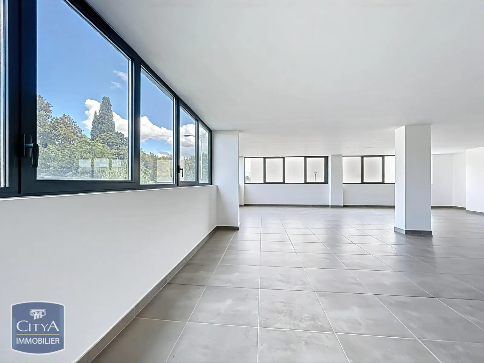 Photo 7 Local Professionnel 1 pièce 195m²