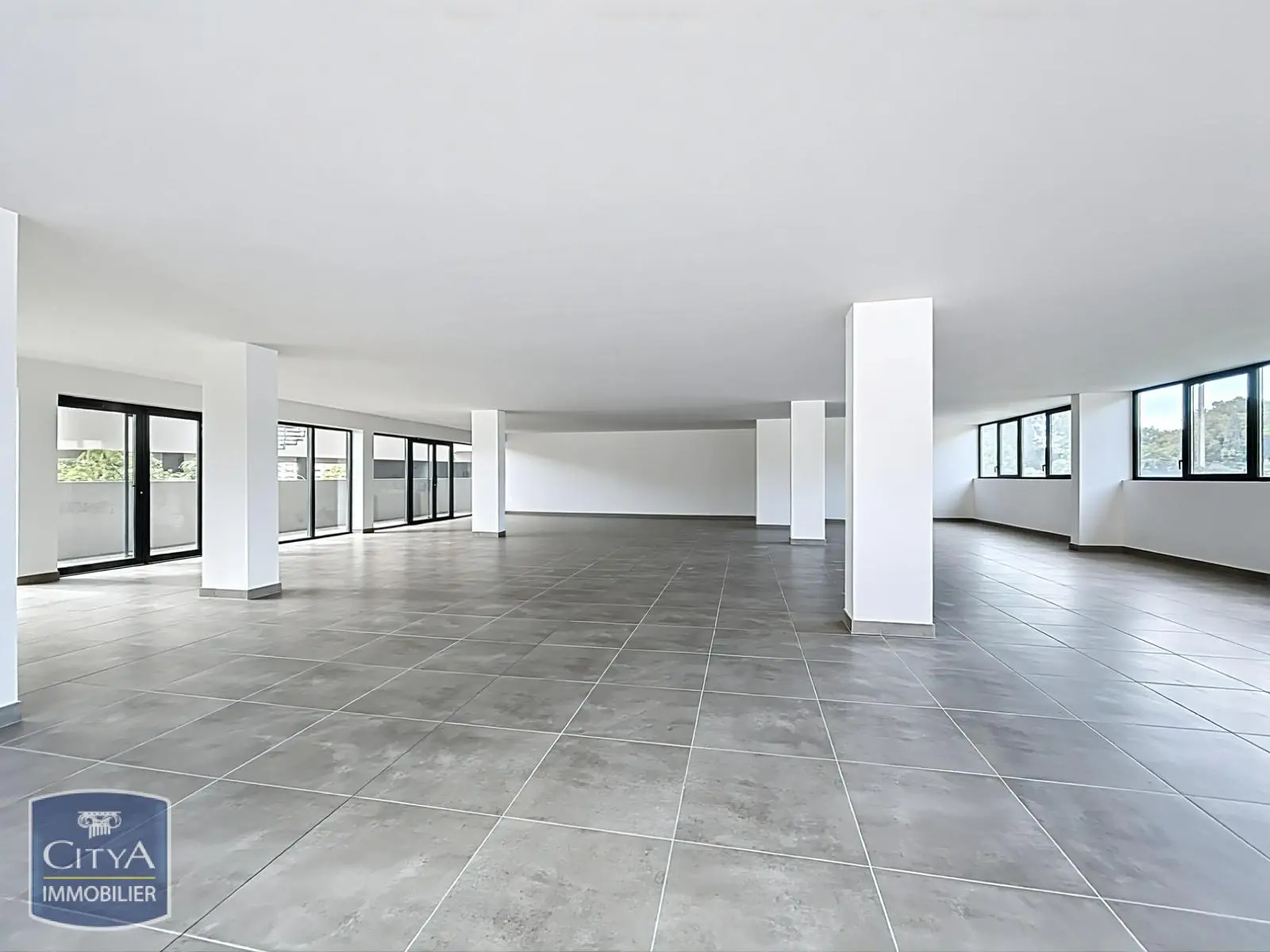 Photo 9 Local Professionnel 1 pièce 195m²