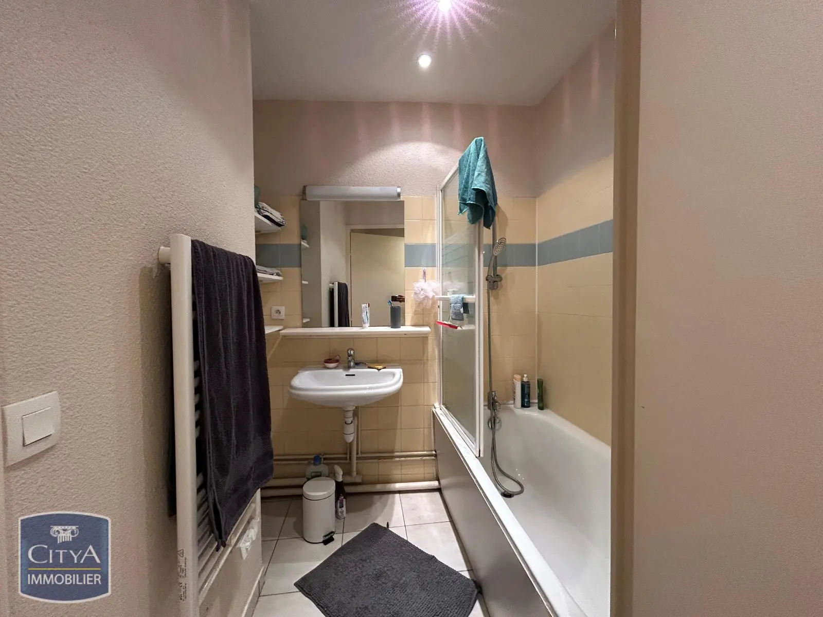 Photo 4 appartement Grenoble