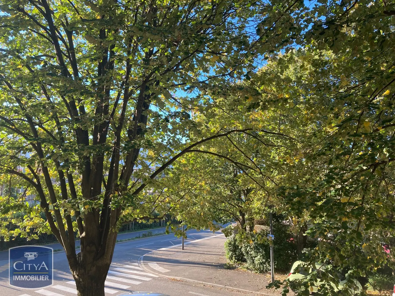 Photo 5 appartement Grenoble