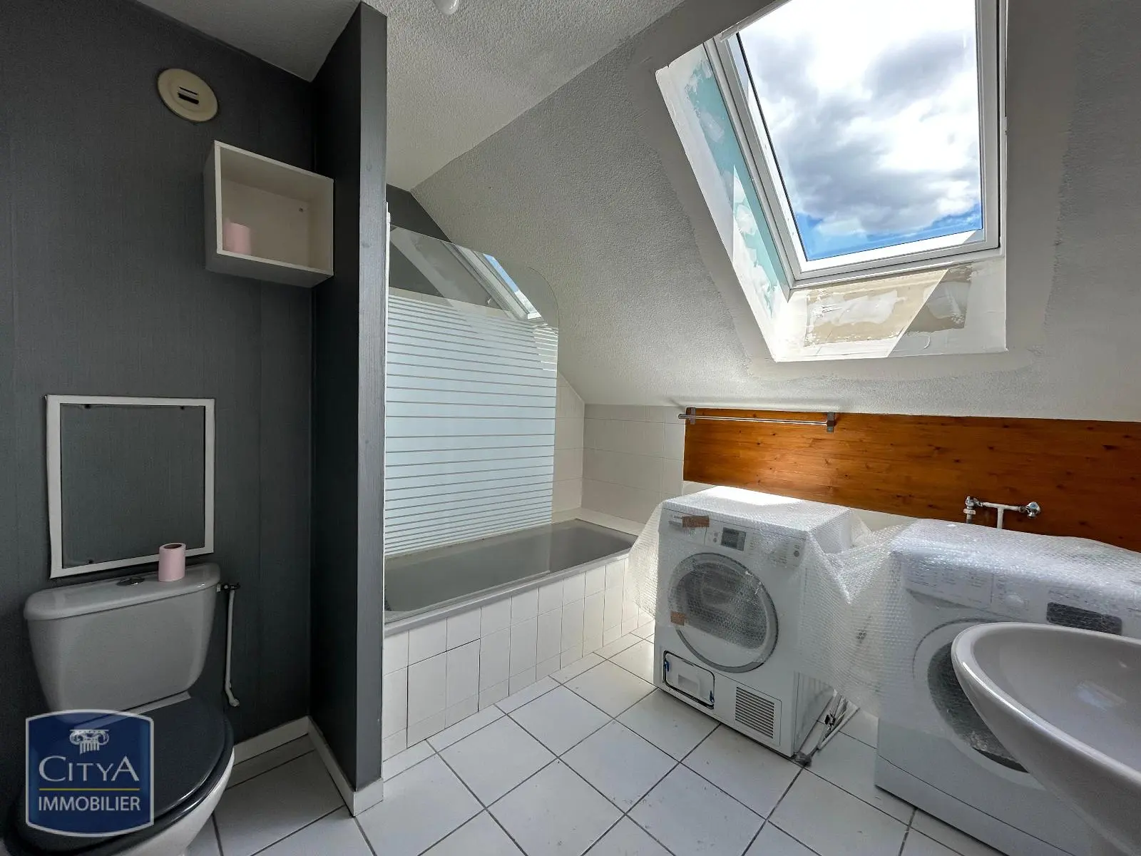 Photo 12 appartement Grenoble