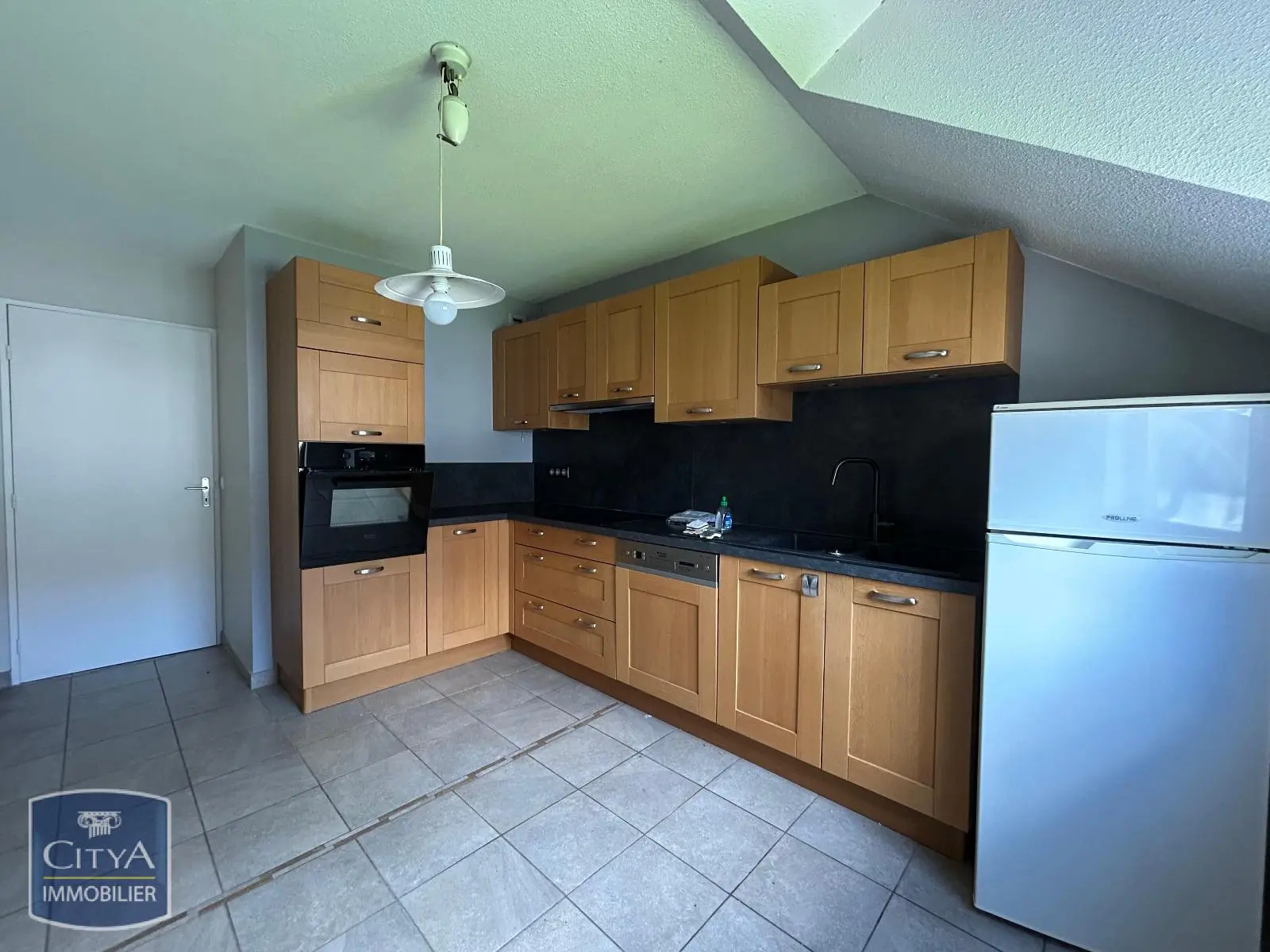 Photo 3 appartement Grenoble